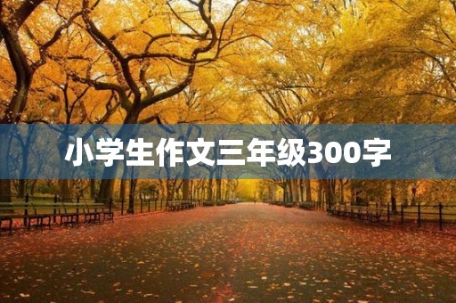 小学生作文三年级300字