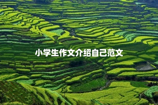 小学生作文介绍自己范文 小学生作文介绍自己范文