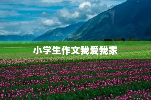 小学生作文我爱我家 小学生作文我爱我家
