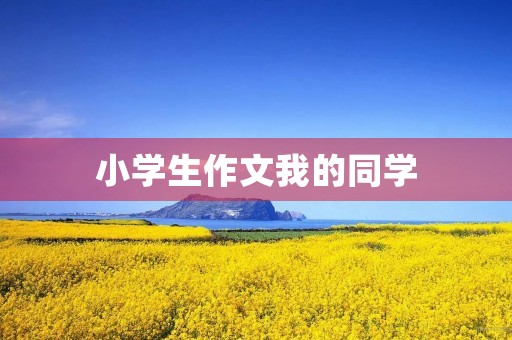 小学生作文我的同学 小学生作文我的同学