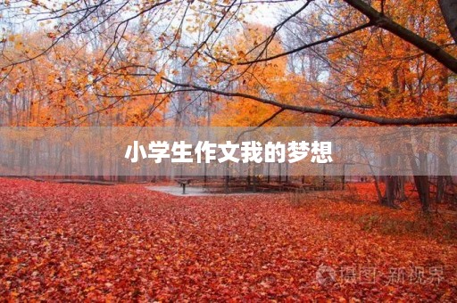 小学生作文我的梦想 小学生作文我的梦想