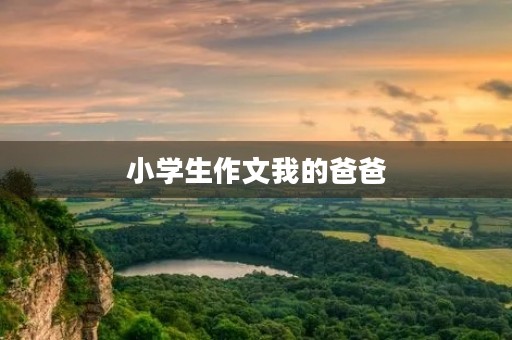 小学生作文我的爸爸 小学生作文我的爸爸