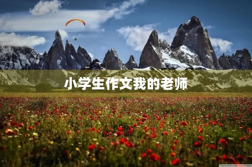 小学生作文我的老师 小学生作文我的老师