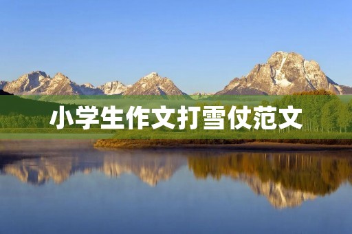 小学生作文打雪仗范文