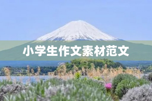 小学生作文素材范文