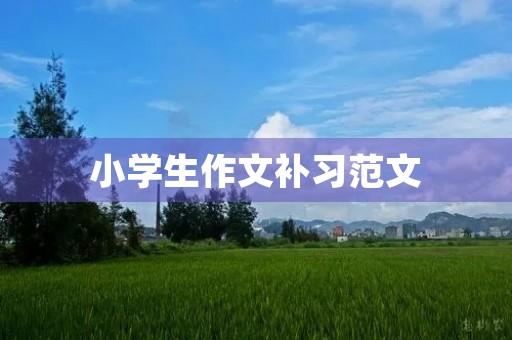 小学生作文补习范文 小学生作文补习范文