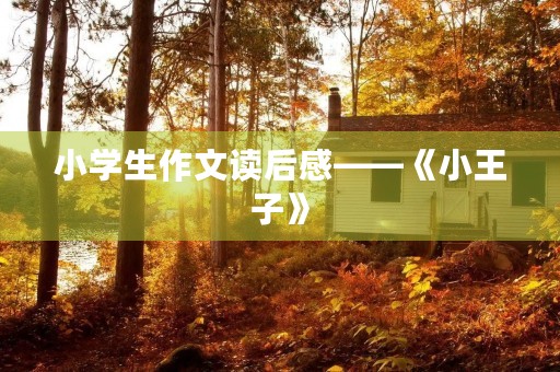 小学生作文读后感——《小王子》 小学生作文读后感——《小王子》