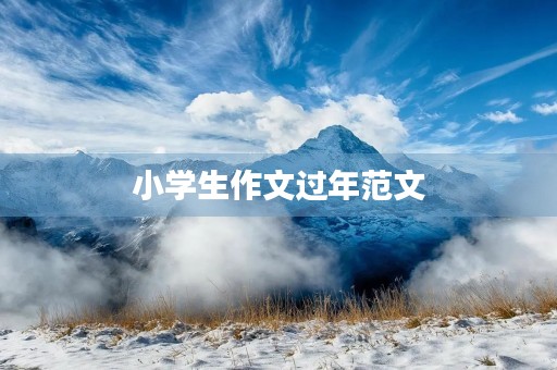 小学生作文过年范文