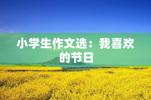 小学生作文选：我喜欢的节日