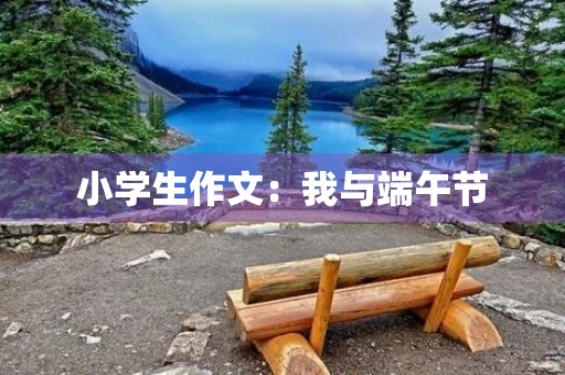 小学生作文：我与端午节