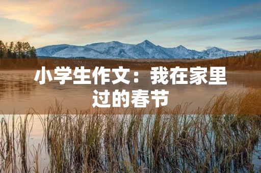 小学生作文:我在家里过的春节 小学生作文:我在家里过的春节