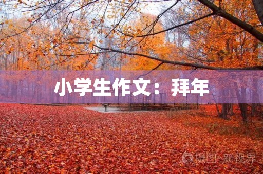 小学生作文：拜年