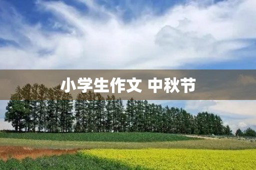 小学生作文 中秋节