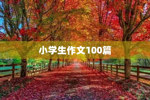 小学生作文100篇