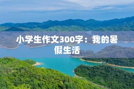 小学生作文300字：我的暑假生活