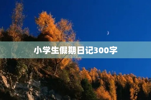 小学生假期日记300字 小学生假期日记300字