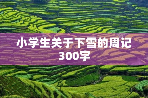 小学生关于下雪的周记300字