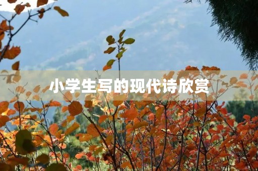 小学生写的现代诗欣赏