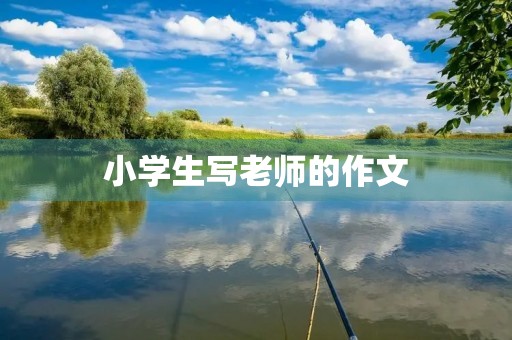 小学生写老师的作文
