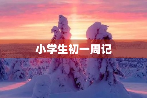小学生初一周记