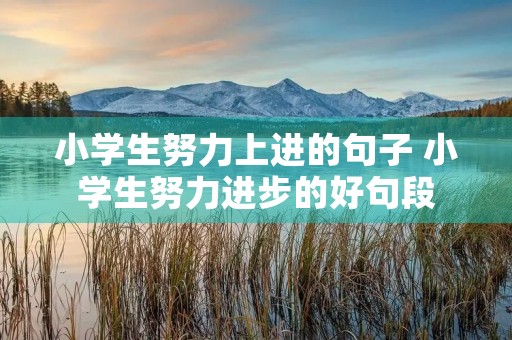 小学生努力上进的句子 小学生努力进步的好句段 小学生努力上进的句子 小学生努力进步的好句段