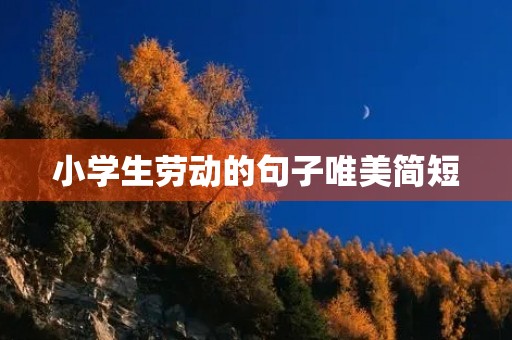 小学生劳动的句子唯美简短,小学生劳动的句子唯美简短一点 小学生劳动的句子唯美简短,小学生劳动的句子唯美简短一点