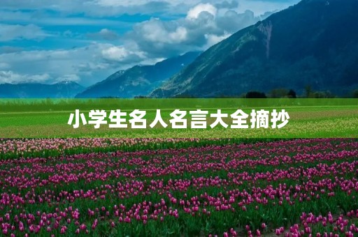 小学生名人名言大全摘抄(小学生名人名言大全摘抄100字)