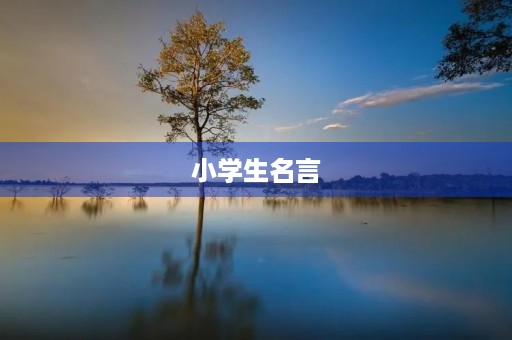 小学生名言,小学生名言名句 小学生名言,小学生名言名句
