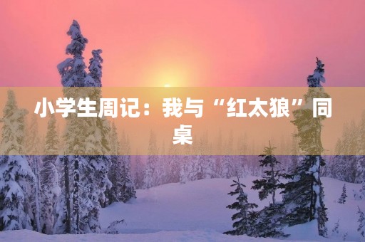 小学生周记:我与“红太狼”同桌 小学生周记:我与“红太狼”同桌