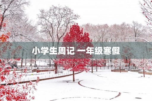 小学生周记 一年级寒假