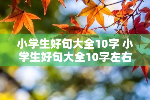 小学生好句大全10字 小学生好句大全10字左右 小学生好句大全10字 小学生好句大全10字左右