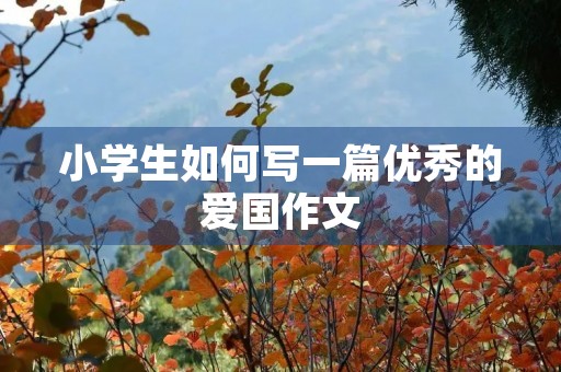 小学生如何写一篇优秀的爱国作文 小学生如何写一篇优秀的爱国作文