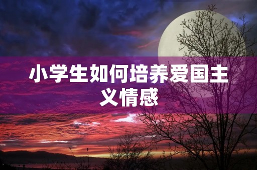 小学生如何培养爱国主义情感