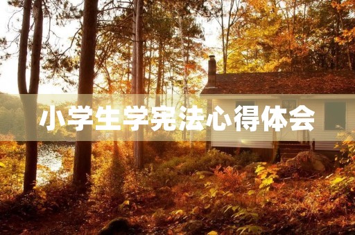 小学生学宪法心得体会
