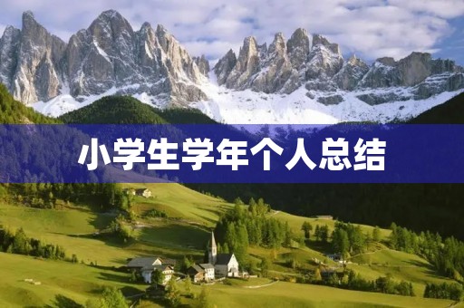 小学生学年个人总结