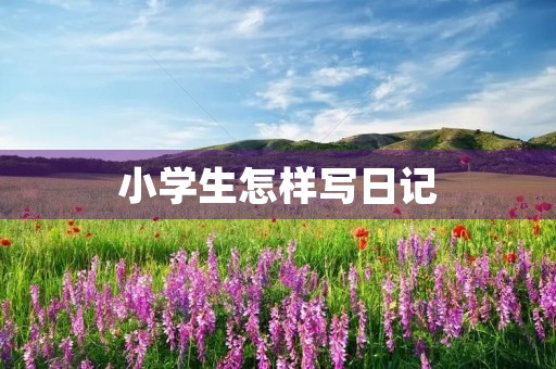 小学生怎样写日记