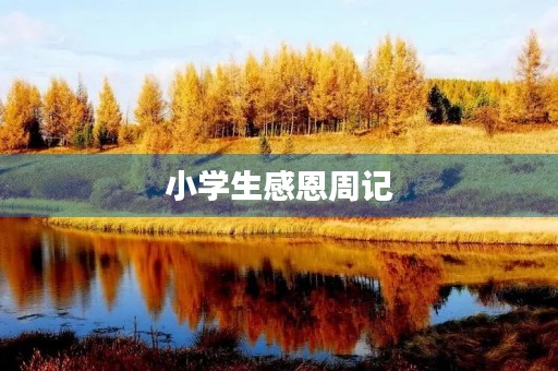 小学生感恩周记