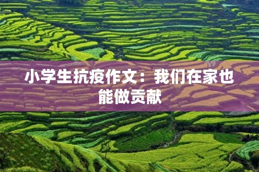 小学生抗疫作文：我们在家也能做贡献