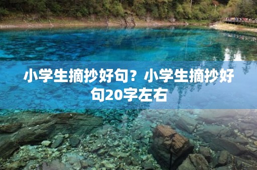 小学生摘抄好句?小学生摘抄好句20字左右 小学生摘抄好句?小学生摘抄好句20字左右