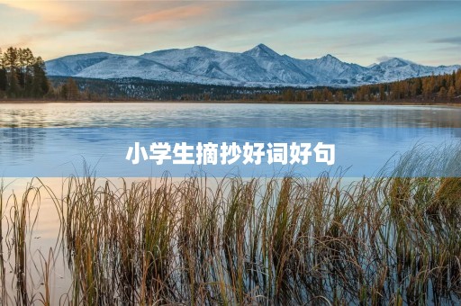 小学生摘抄好词好句,小学生摘抄好词好句好段大全 小学生摘抄好词好句,小学生摘抄好词好句好段大全