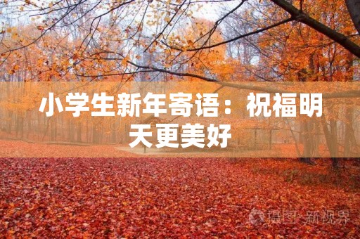 小学生新年寄语:祝福明天更美好 小学生新年寄语:祝福明天更美好