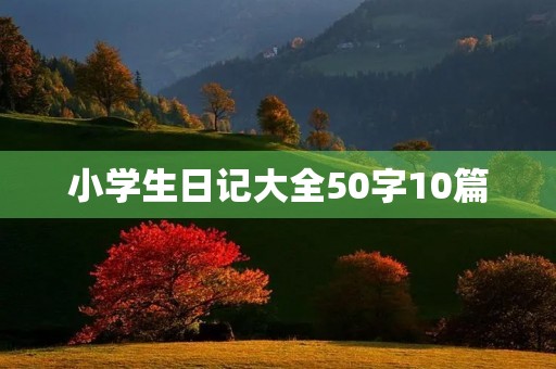 小学生日记大全50字10篇