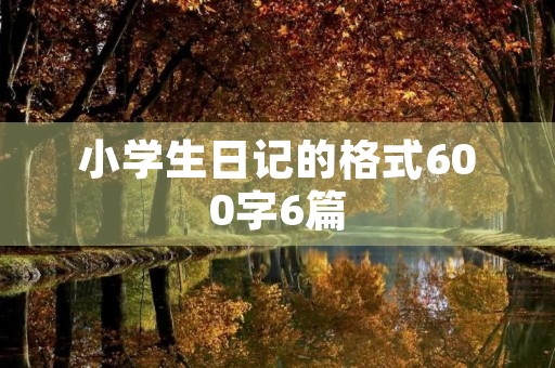 小学生日记的格式600字6篇 小学生日记的格式600字6篇