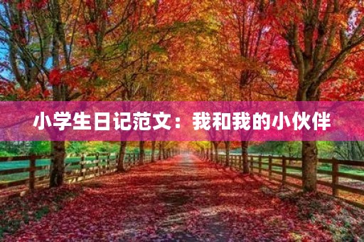 小学生日记范文:我和我的小伙伴 小学生日记范文:我和我的小伙伴