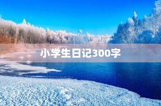小学生日记300字 小学生日记300字