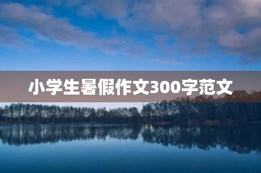 小学生暑假作文300字范文 小学生暑假作文300字范文
