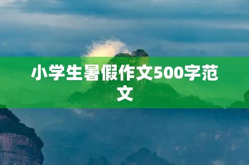 小学生暑假作文500字范文