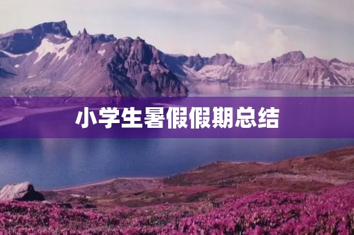 小学生暑假假期总结