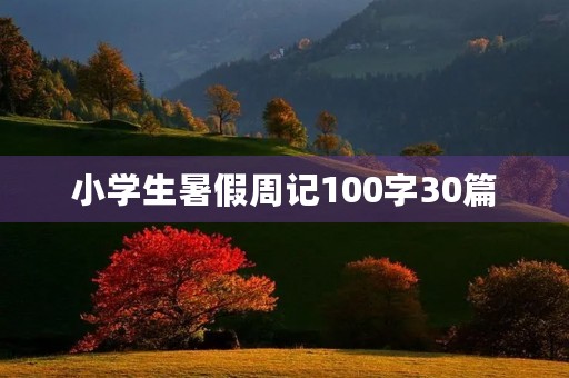 小学生暑假周记100字30篇 小学生暑假周记100字30篇
