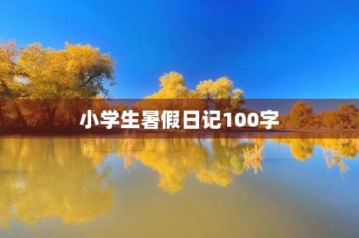 小学生暑假日记100字